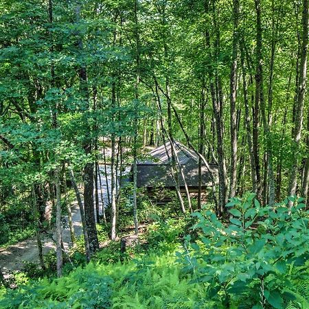 Cozy The Woodshop Cabin With Deck And Forest Views! Robbinsville Exterior foto